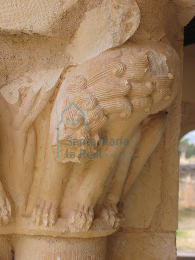 Detalle de un león de uno de los capiteles del pórtico