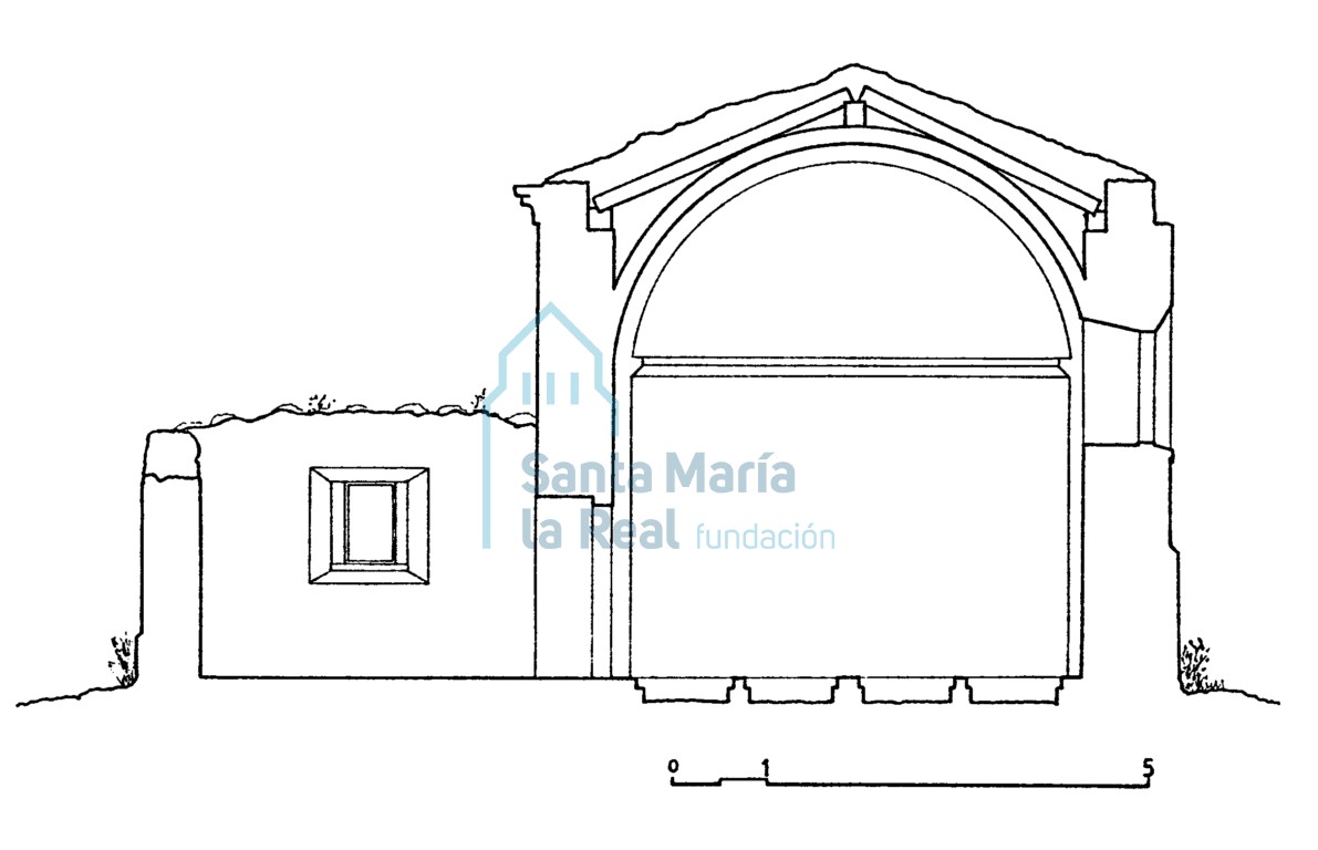 Sección transversal