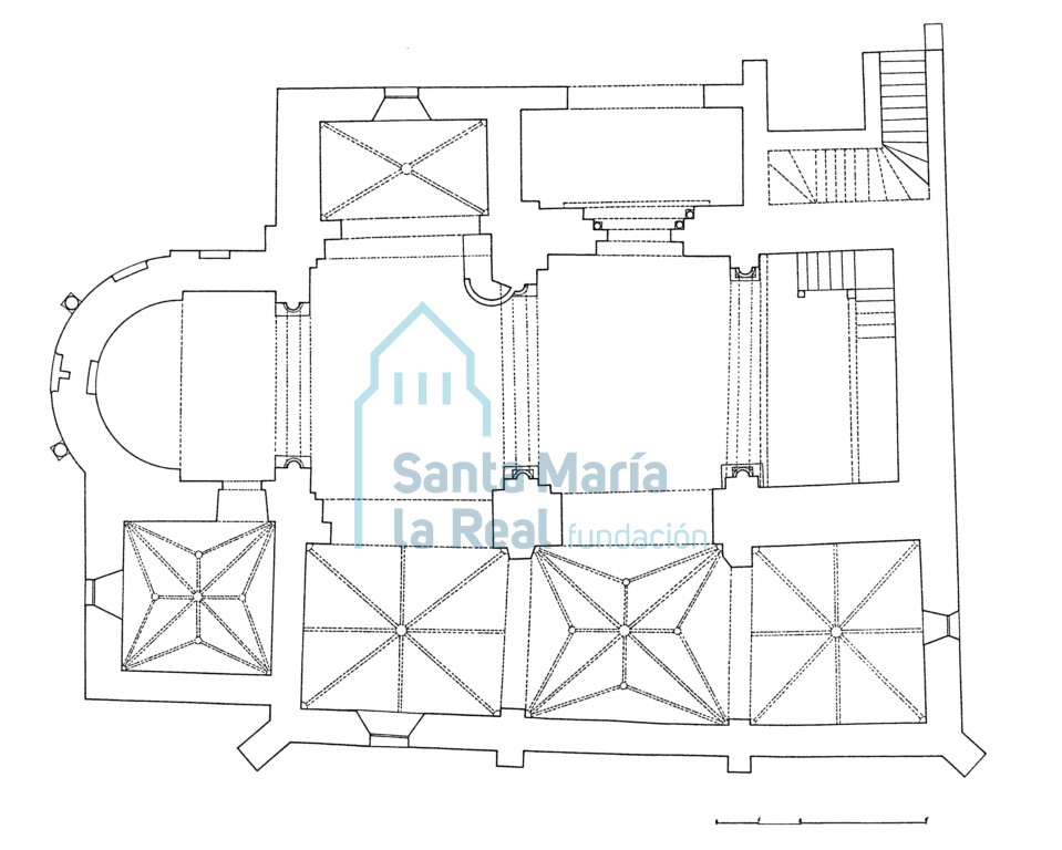Planta