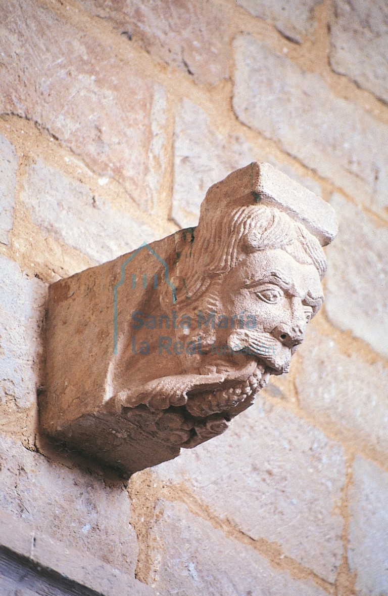 Canecillo del interior. Cabeza de persona con barba y bigote que arroja tallos y bayas por la boca