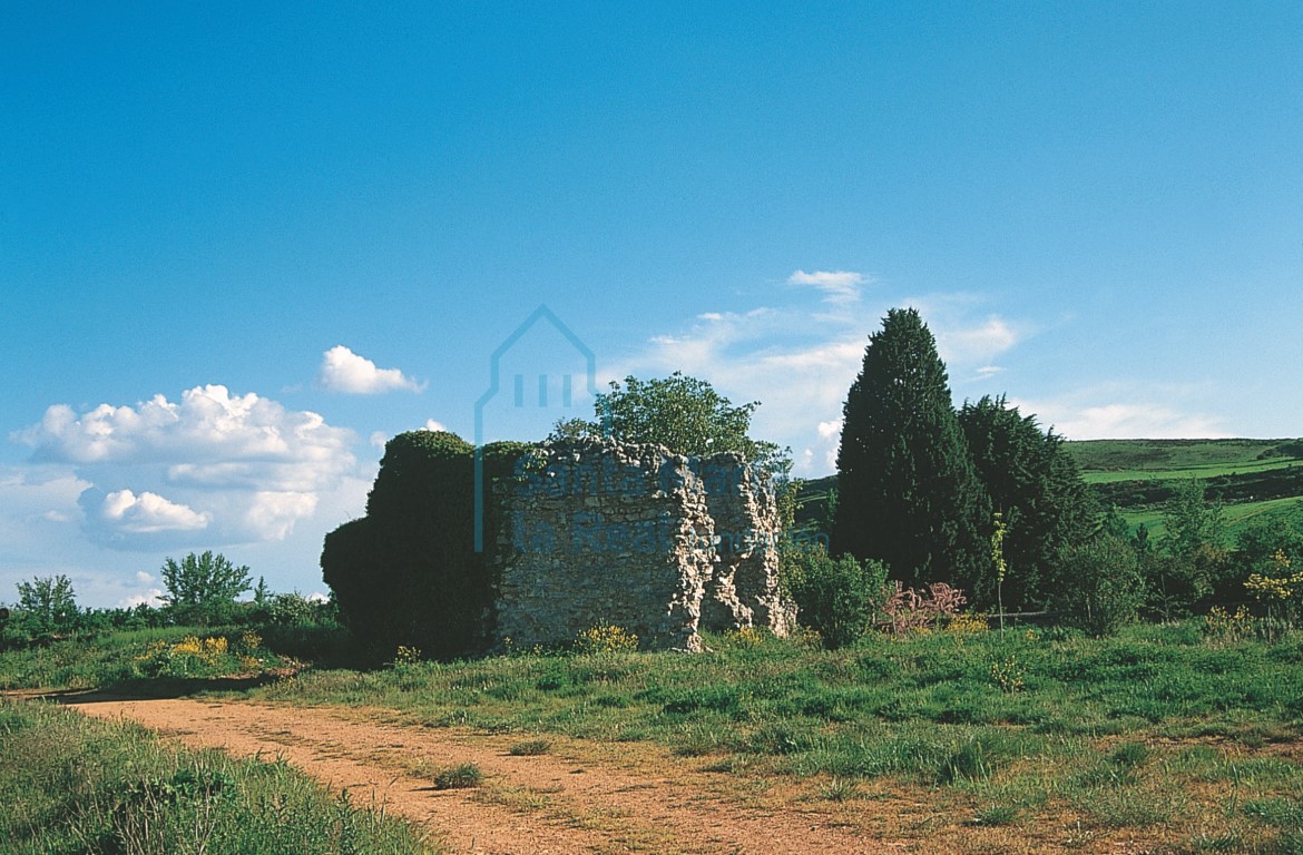 Ruinas. Vista desde el norte