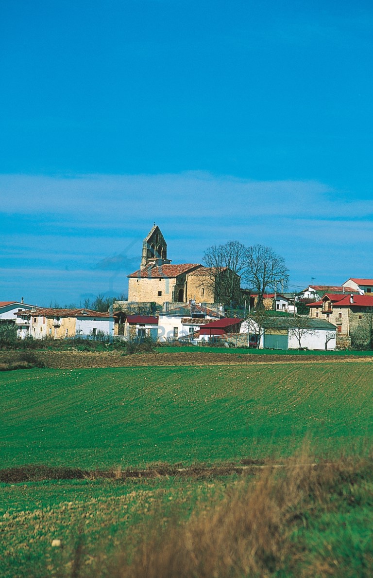 Panorámica