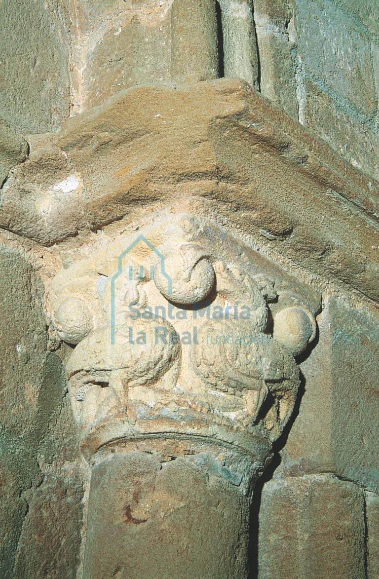 Capitel del pórtico con basilisco y grifo