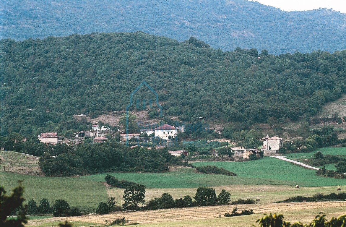 Panorámica