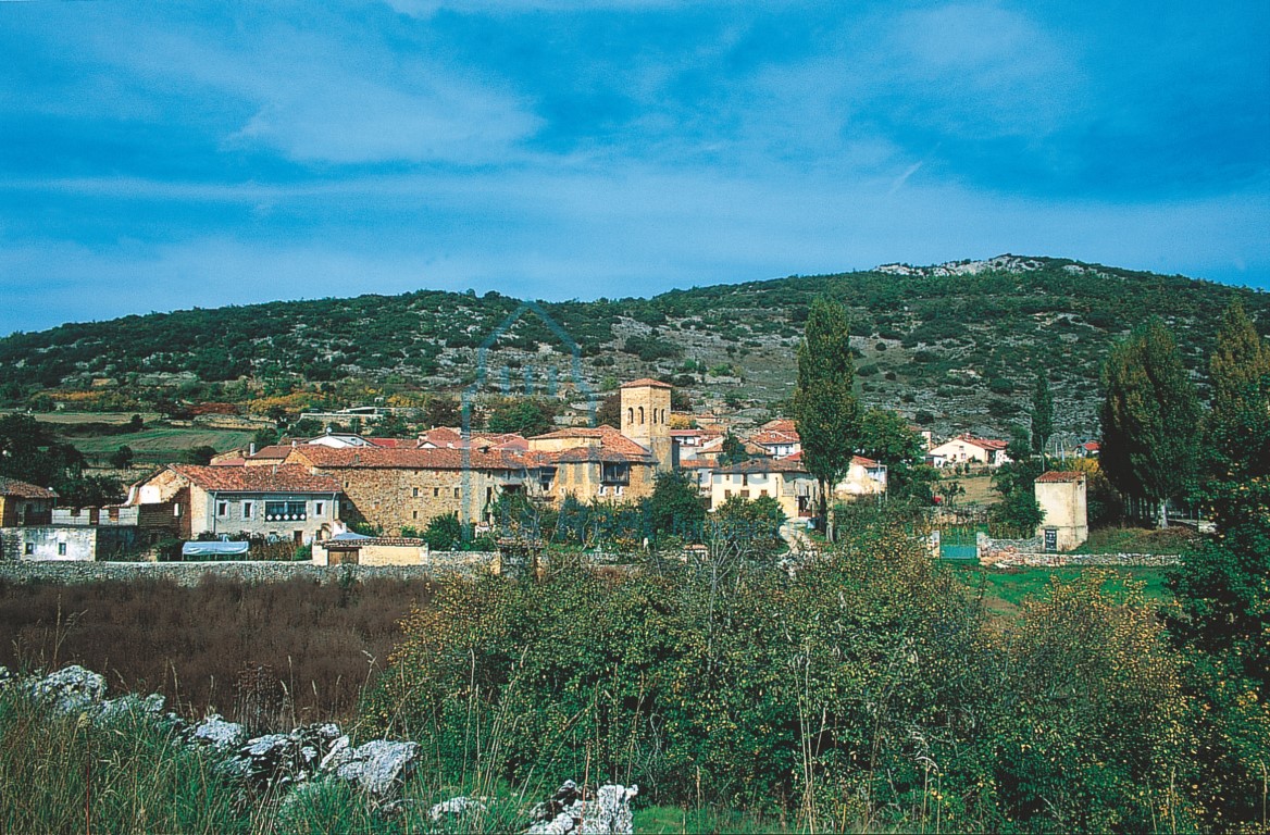 Panorámica