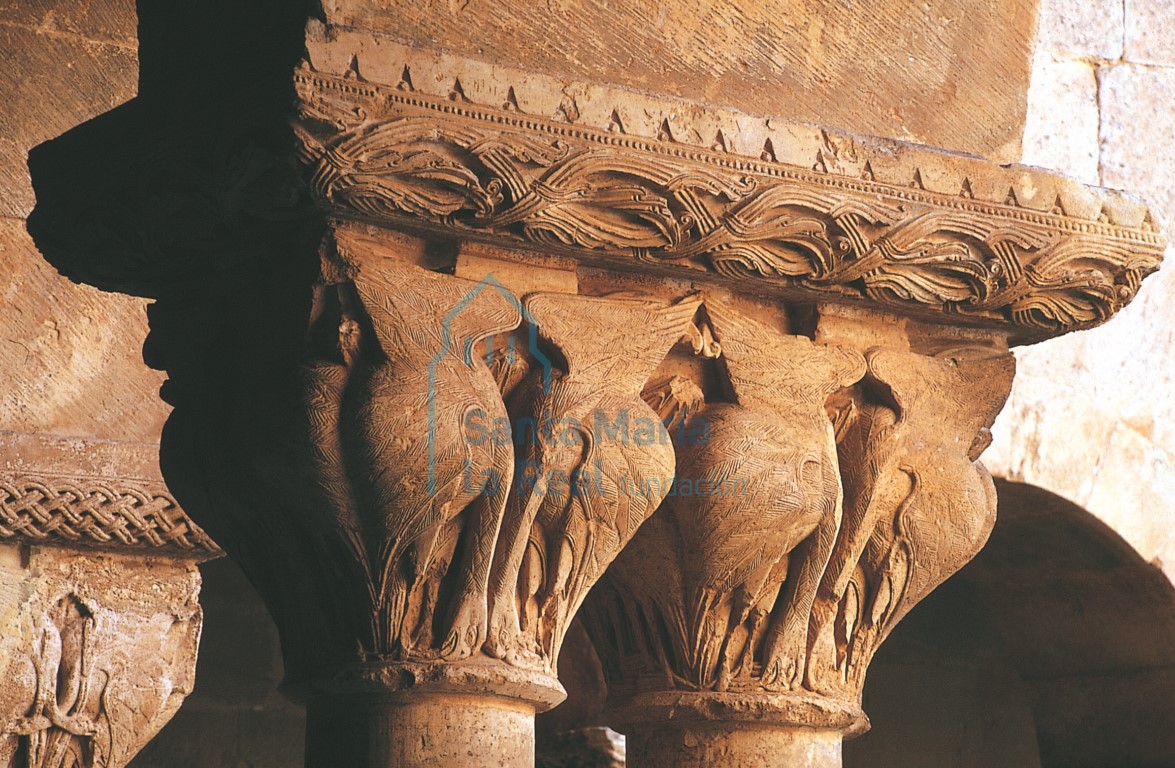 Capitel del claustro. Aves afrontadas