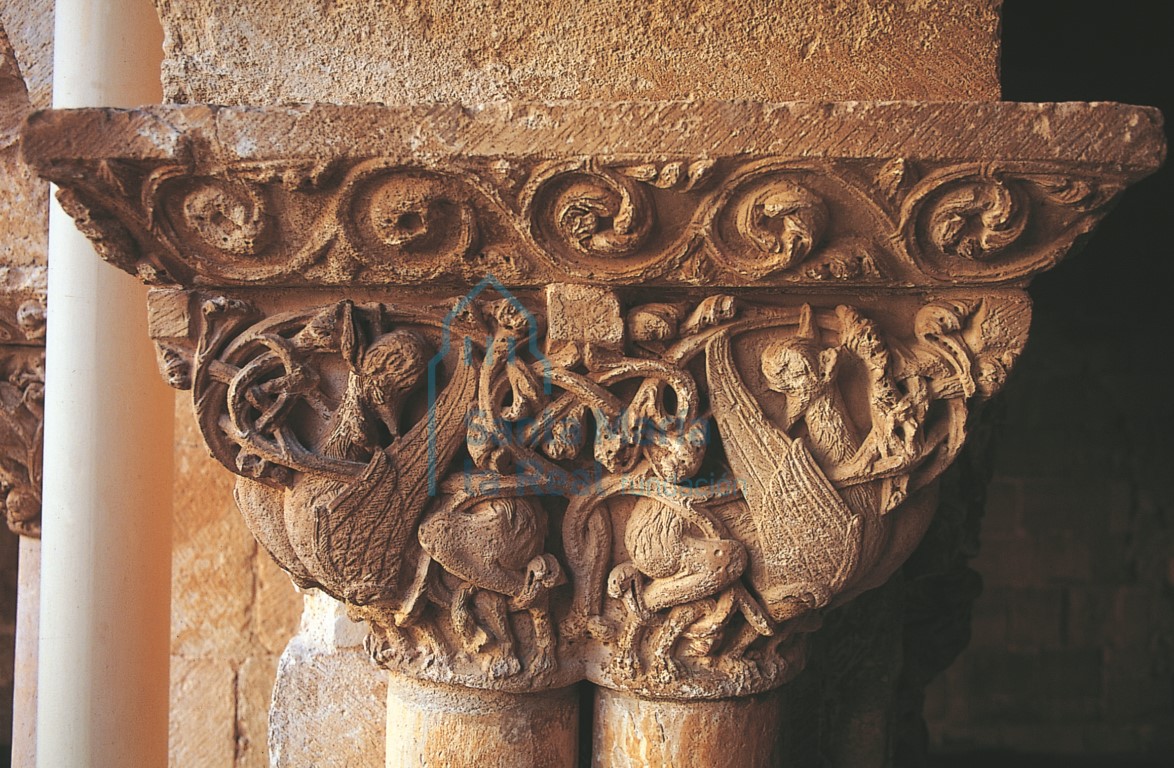 Capitel del claustro. Grifos afrontados Capitel del claustro. Grifos afrontados