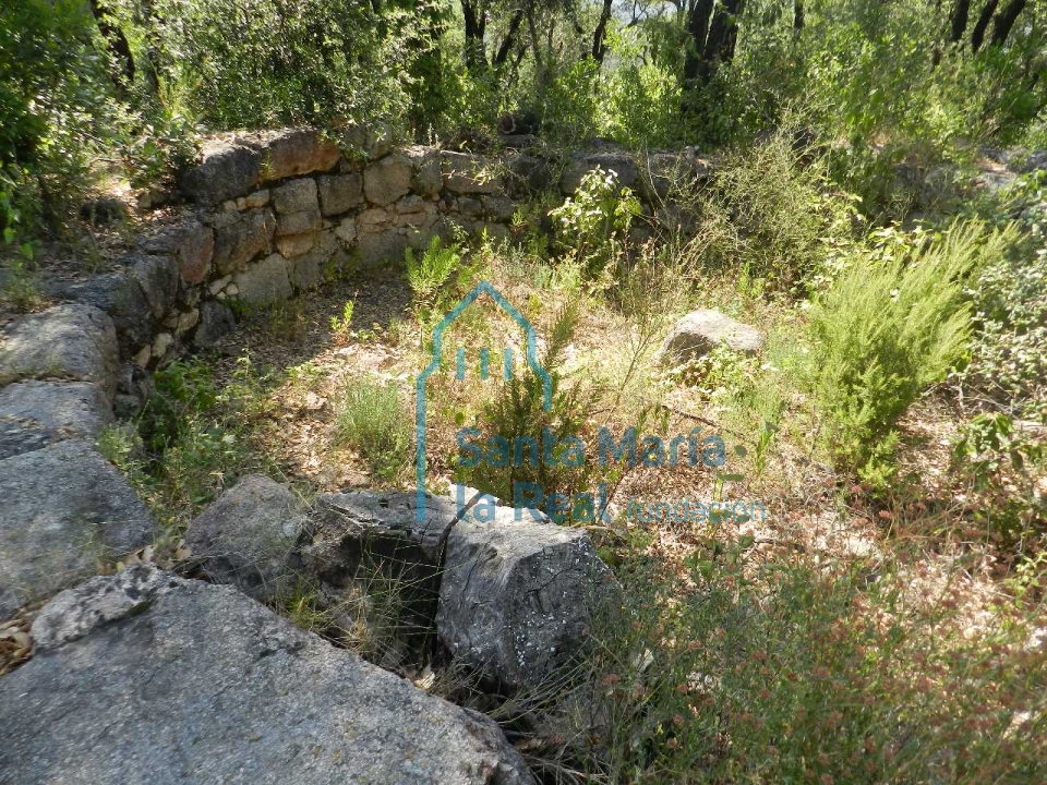 Vista de los muros de la torre