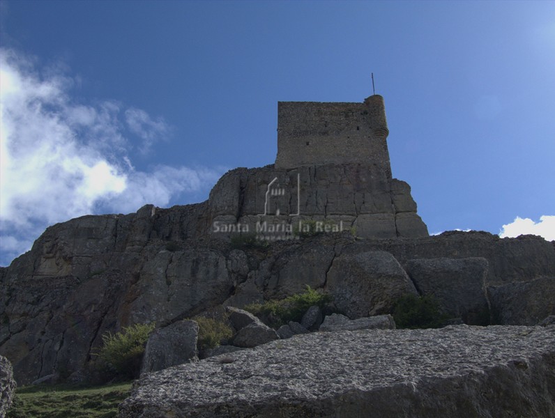 Vista de la torre