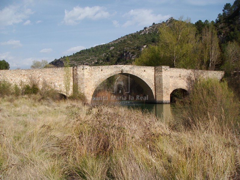 Puente de Auñón. Vista aguas abajo