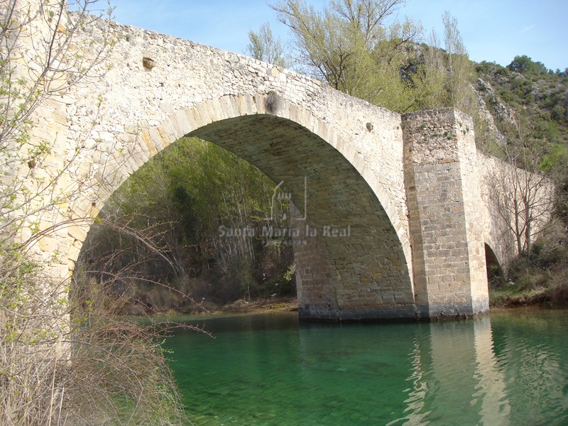 Vista del puente