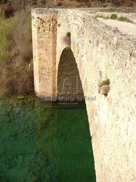 Vista del puente aguas arriba