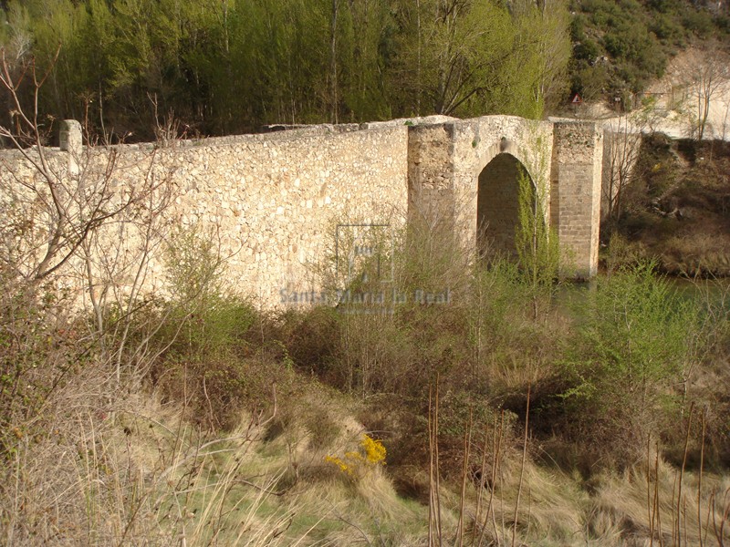 Vista del puente