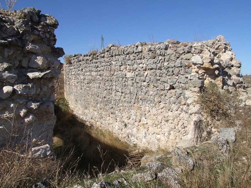 Nave