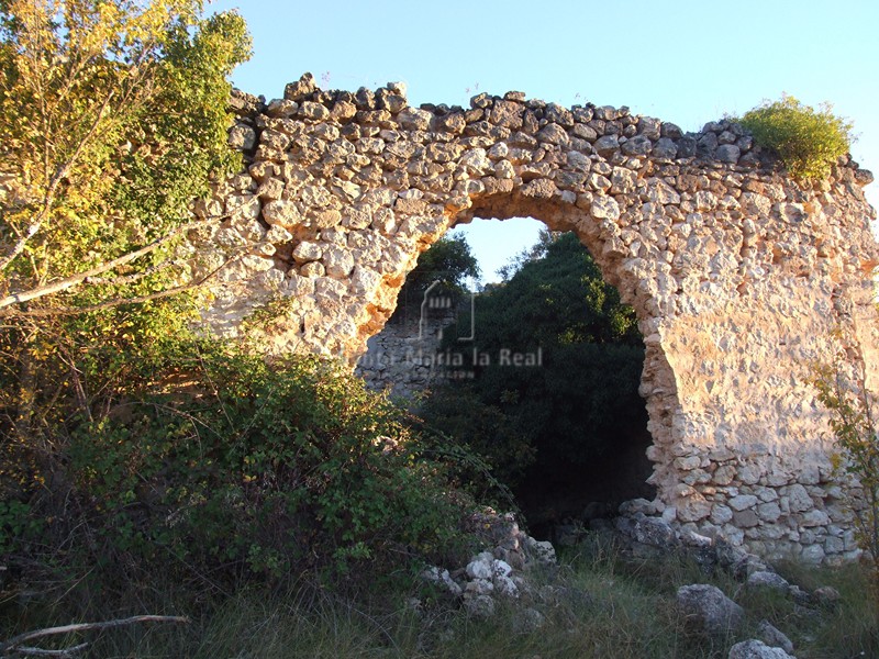 Muro norte