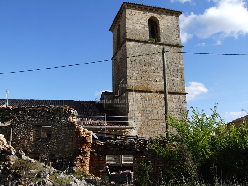 Torre