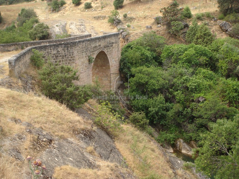 Vista del puente