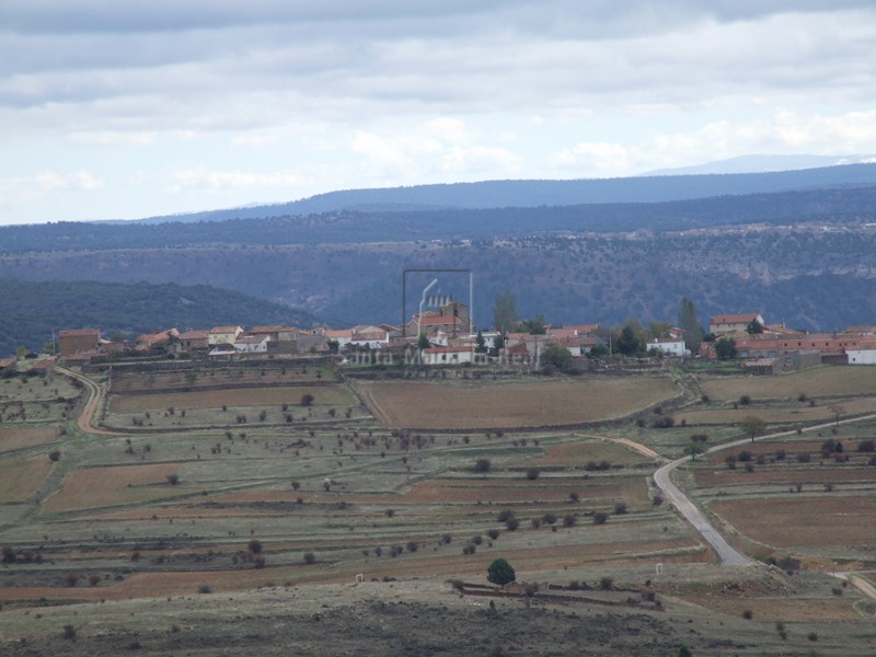 Panorámica