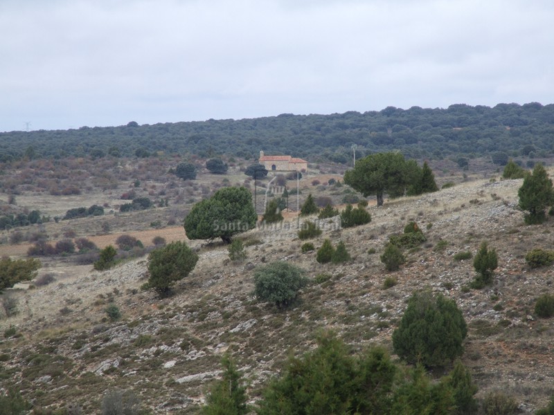 Panorámica