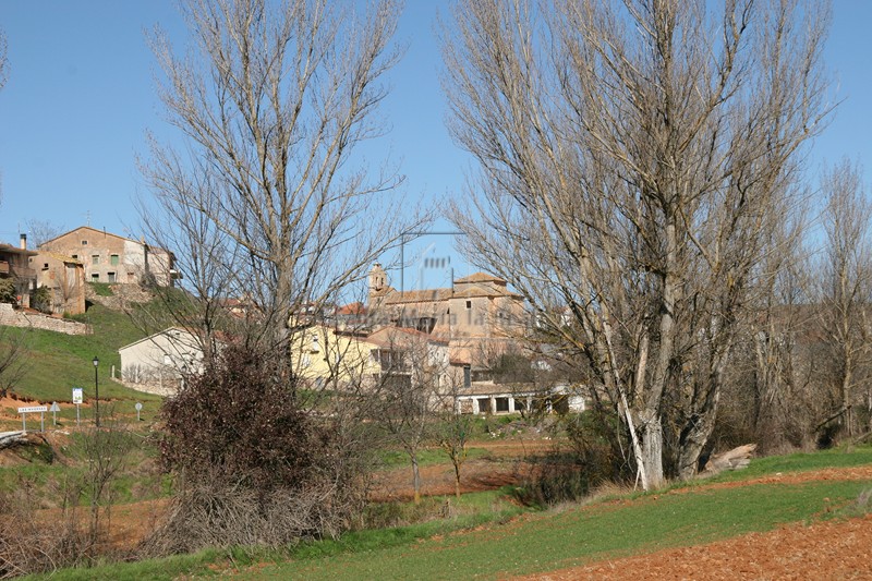 Panorámica