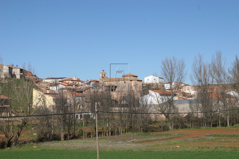 Panorámica