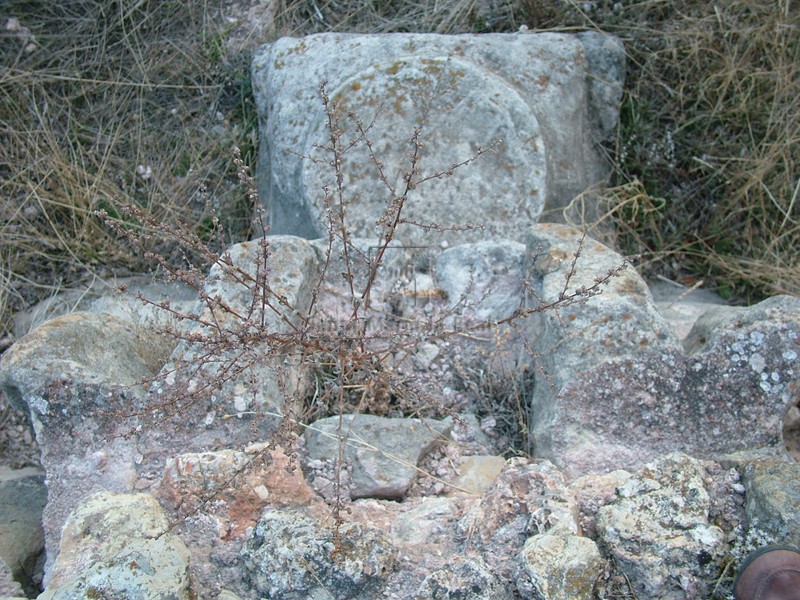 Detalle de basa de una columna