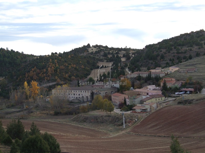 Panorámica