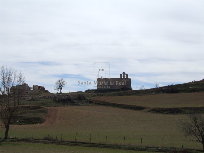 Panorámica del emplazamiento