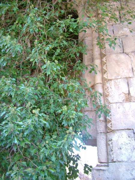 Detalle de ventana