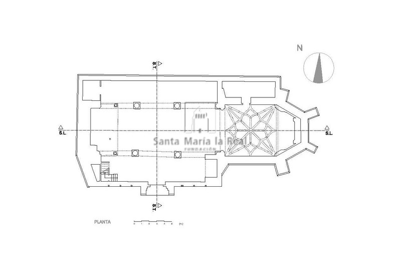 Planta