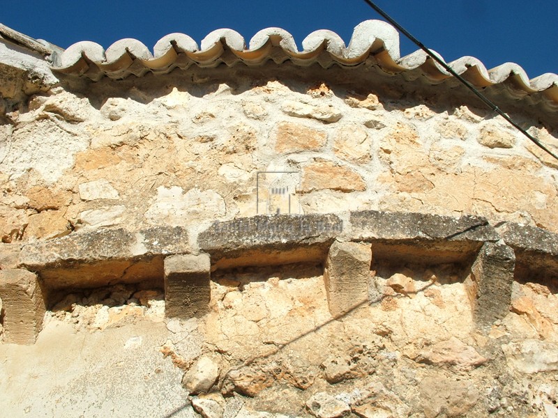 Cornisa