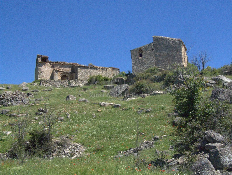 Panorámica