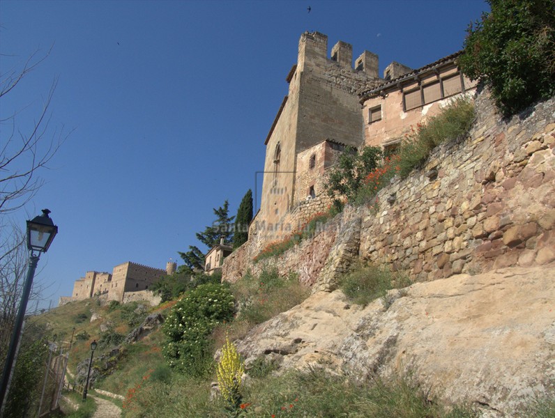 Panorámica con el Castillo al fondo