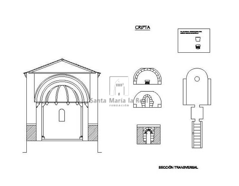 Sección transversal y estudio de la cripta