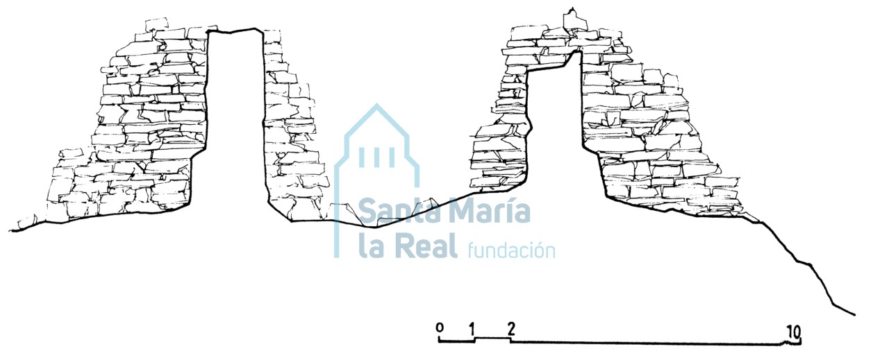 Sección transversal