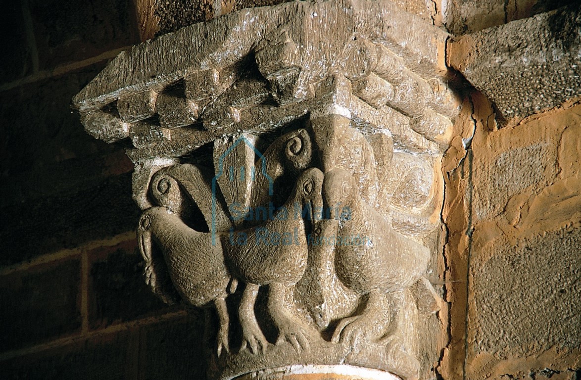 Capitel del lado de la epístola representando dos parejas de aves afrontadas