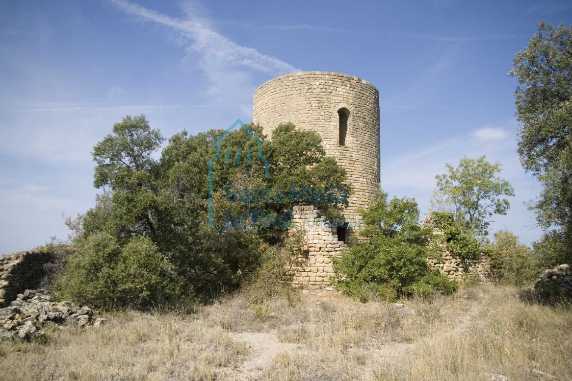 Vista general de la torre