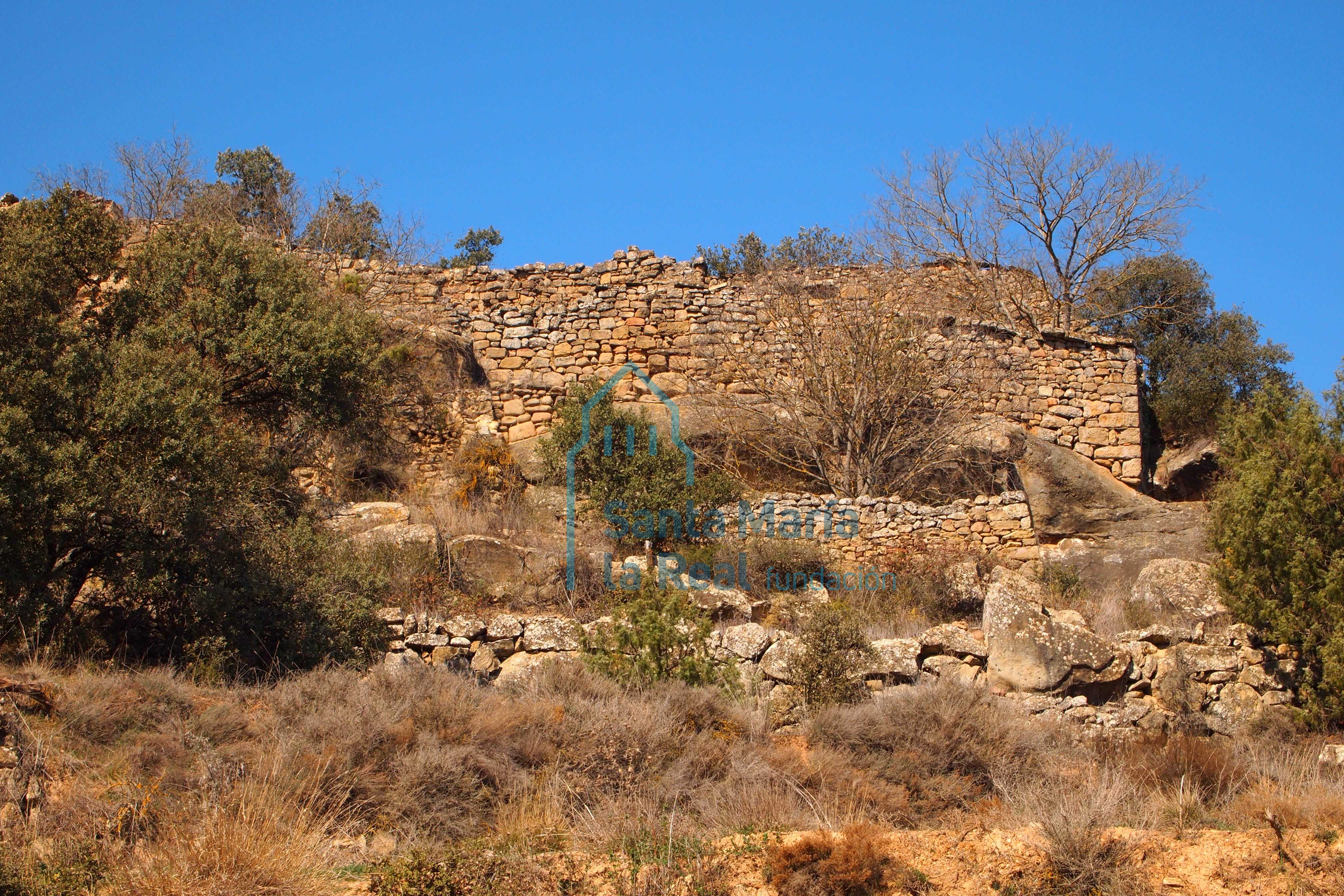 Restos del Castillo