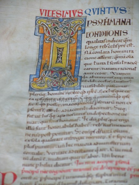Códice