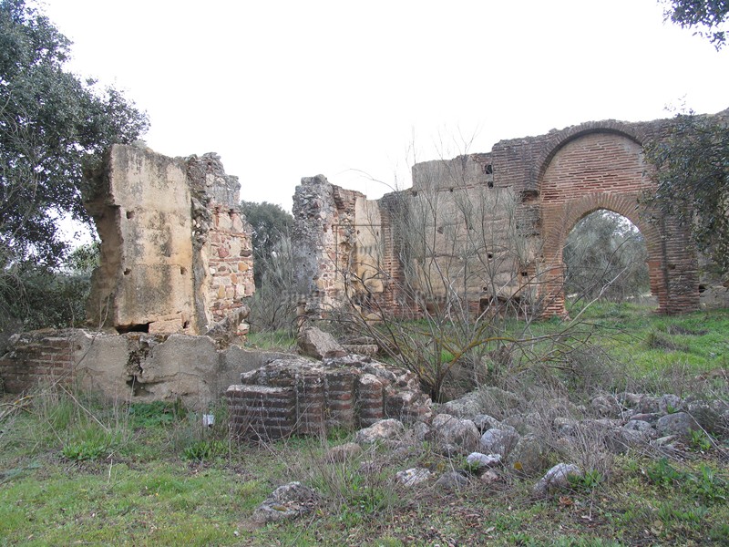 Aspecto de las ruinas desde el Norte