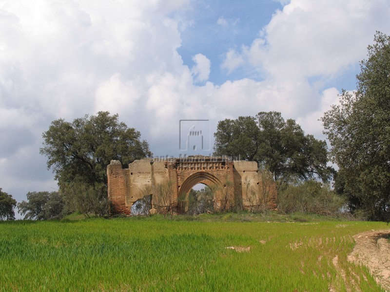 Vista de la portada