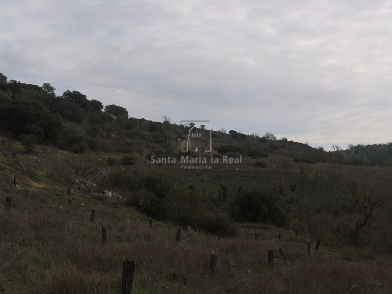 Vista general desde poniente