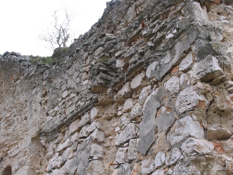 Detalle del muro