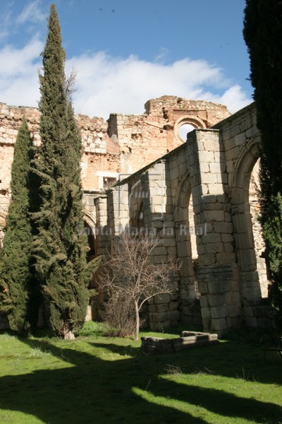 Detalle del claustro