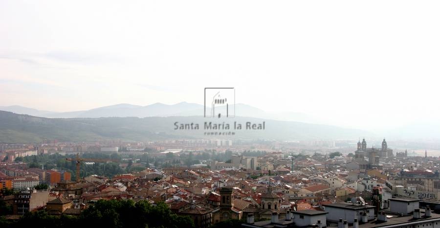 Vista de Pamplona con la catedral al fondo