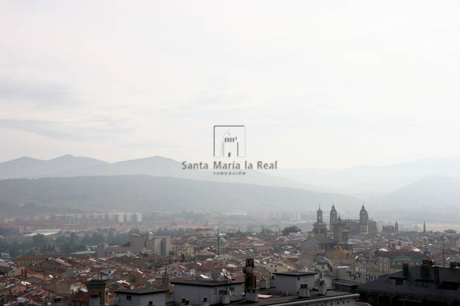 Vista de Pamplona con la catedral al fondo