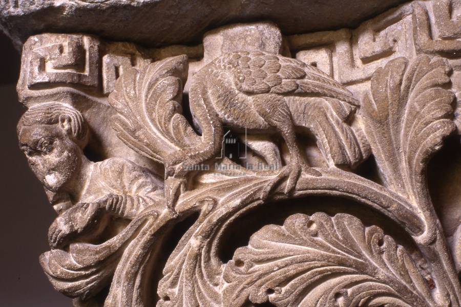 Capitel del claustro de la catedral románica. Motivos de entrelazos