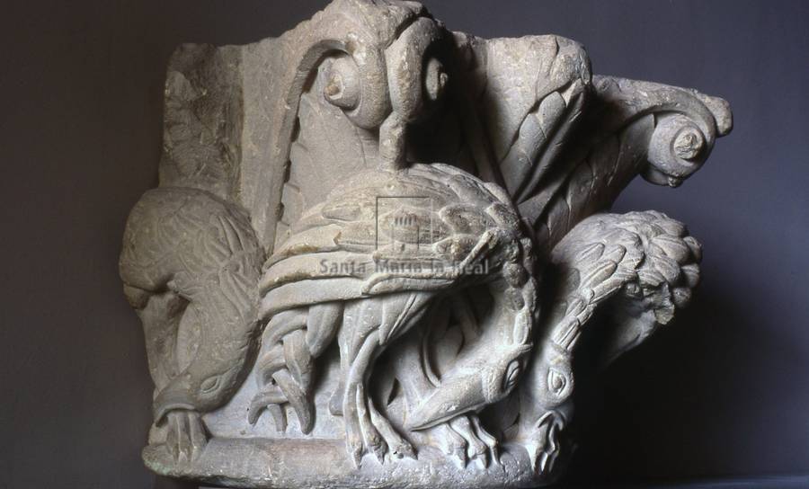 Capitel de la portada occidental de la catedral románica. Aves
