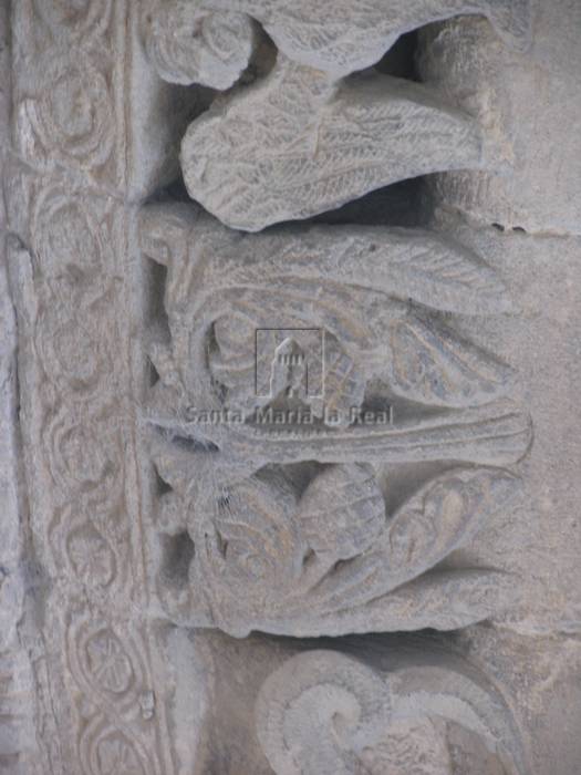Detalle de las arquivoltas de la portada sur. Palmera