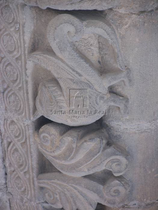 Detalle de las arquivoltas de la portada sur. Grifo